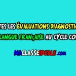 Toutes les évaluations diagnostiques de la langue française au cycle collégial