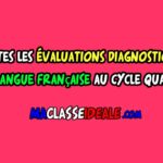Toutes les évaluations diagnostiques de la langue française au cycle qualifiant
